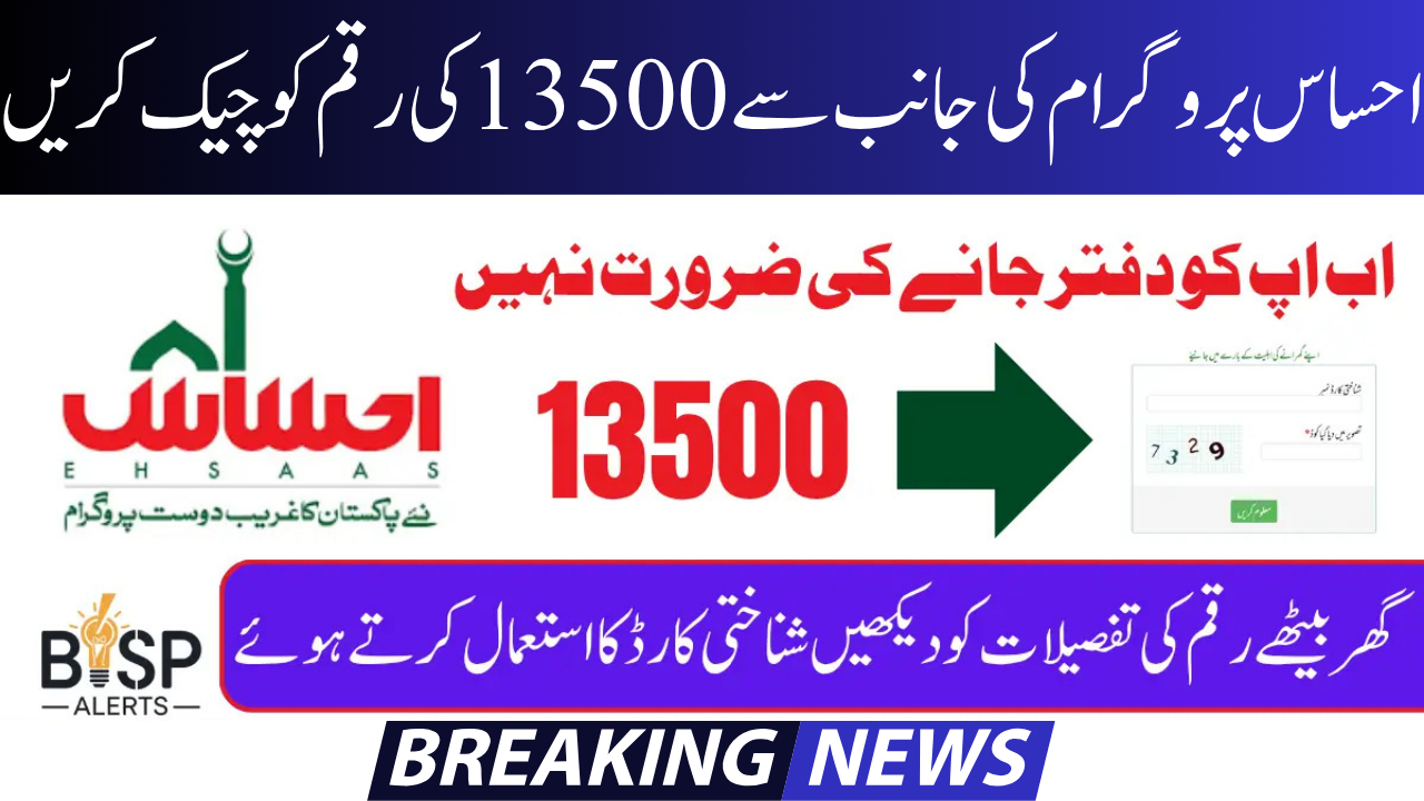 Check Online for the 8171 Ehsaas Program 2025